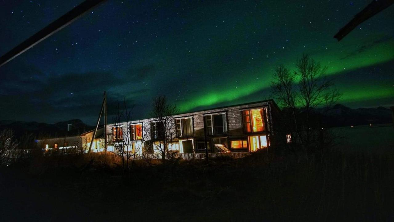 Risvaer Brygger Bed and Breakfast Digermulen Eksteriør billede